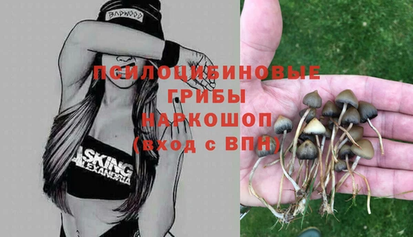 каннабис Бородино