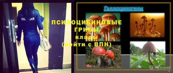 спиды Бугульма